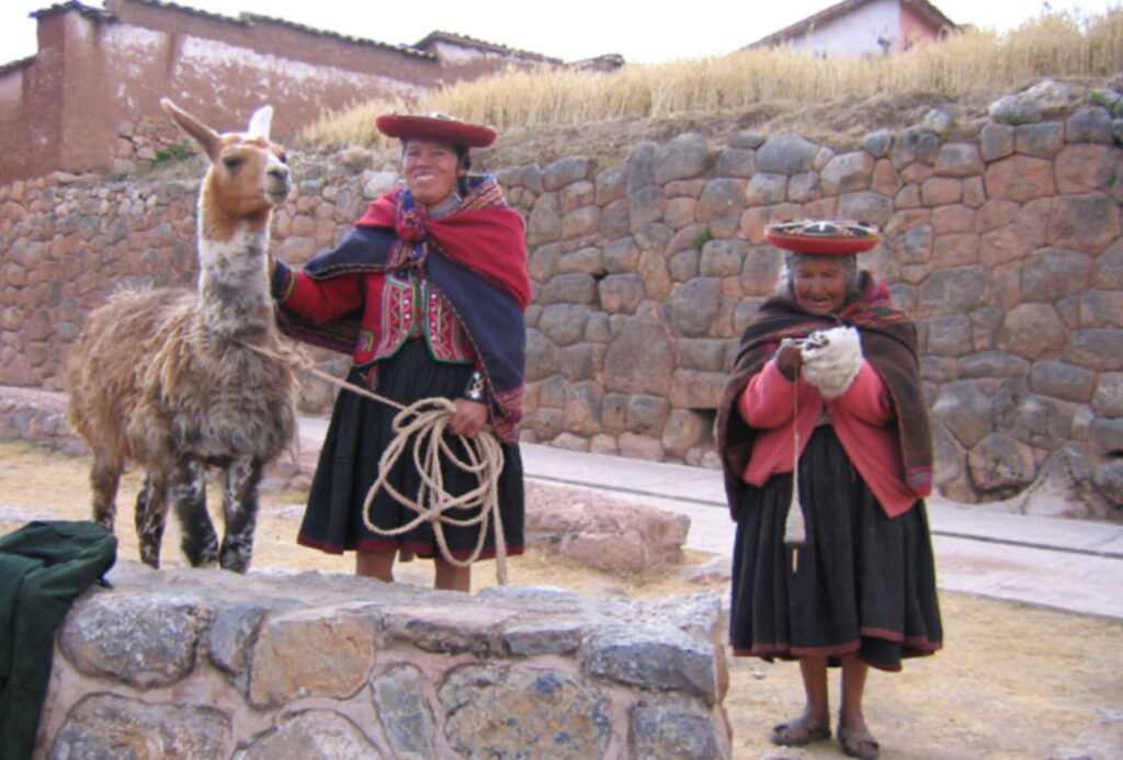 camelid wool